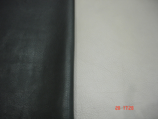 MSR Exports