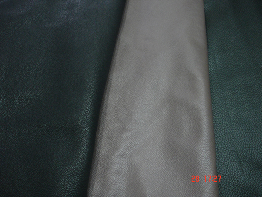 MSR Exports