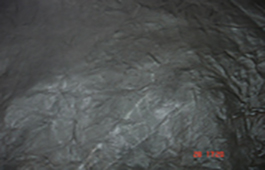 MSR Exports