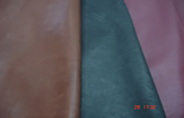 MSR Exports
