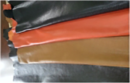 MSR Exports