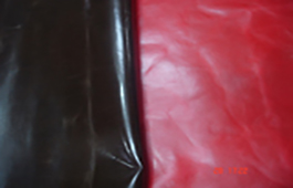 MSR Exports