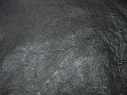 MSR Exports